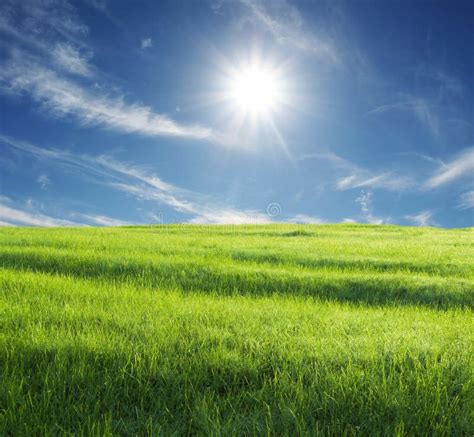 Field And Sun Stock Photo Image Of Healthy Pure Green 4058652