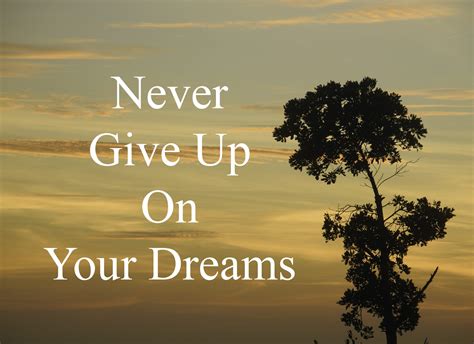 5 Reasons You Should Never Give Up On Your Dreams Inspirational Blogs
