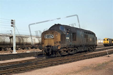 Rail Online Class 37 Ee Type 3 37205 1977 08 Polmadie