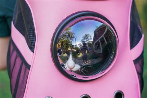 The best cat backpacks on the market right now are the henkelion cat backpack, texsens ventilated mesh cat carrier, and the halinfer expandable cat backpack. What backpacks are best for cats? - Adventure Cats