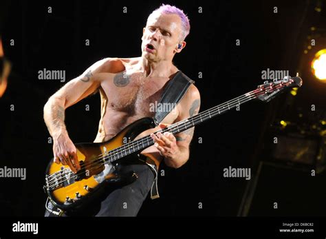 Bassist Michael Flea Balzary Of The US Band Red Hot Chili Peppers Stock Photo Royalty Free