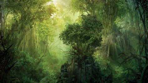 Fantasy Forest Backgrounds