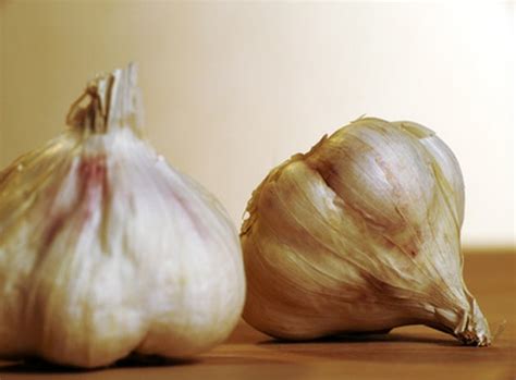 Signs And Symptoms Of Garlic Allergy