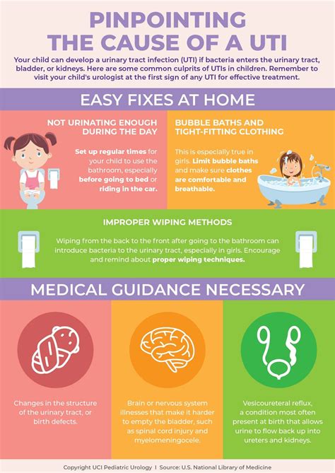 Common Reasons For Getting Uti That You Must Know With Images