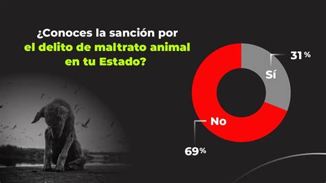 Maltrato Animal En México 2021 ¿qué Opinión Se Tiene Atlas Del