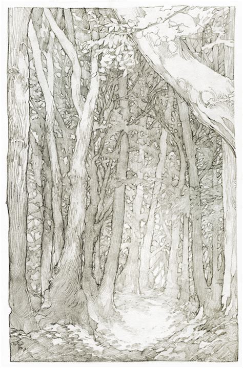 On Deviantart Forest Drawing Nature