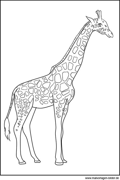 Coloring Pages Cars 2 Coloringpages2019