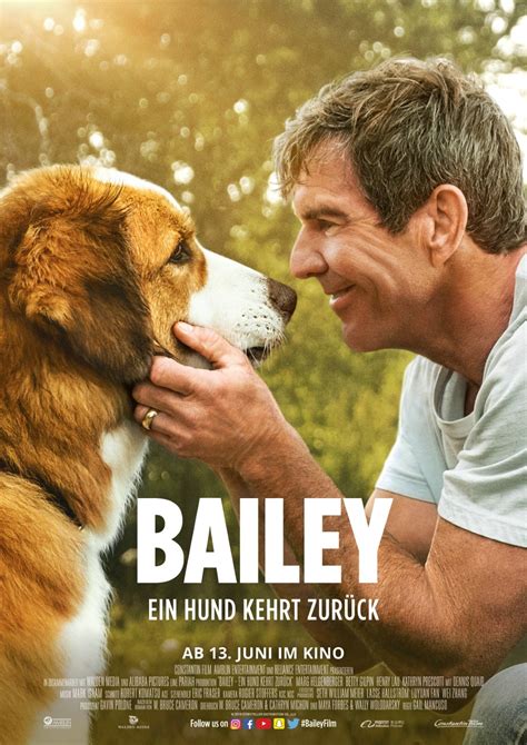 Bailey Ein Hund Kehrt Zurück Film 2019 Filmstartsde