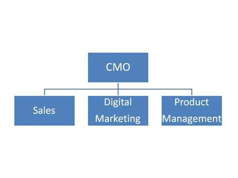 The Multi Dimensional Responsibilities Of A Cmo Don Roy Phd