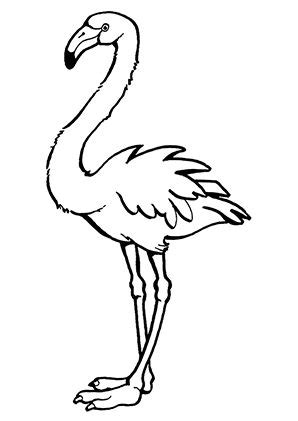 60 Flamingo Malvorlage Ausmalbilder für Kinder