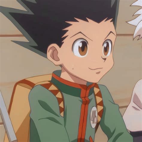 Gon Aesthetic Pfp Adult Gon Wallpapers Wallpaper Cave Job Interview
