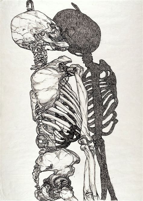 A Skeleton And Its Shadow Pen And Ink Drawing By Joyce Cutler Shaw