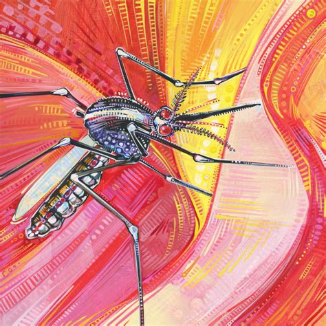 Mosquito Painting By Jersey Artist Gwenn Seemel 2012