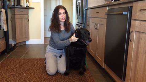 How to euthanize a cat with kidney disease, cancer, decreased quality of life from old age, etc. How to give Ear Medication to your Dog