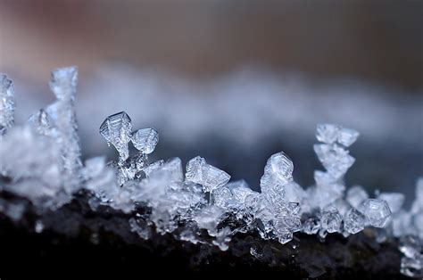 Ice Crystals After A Severe Frost