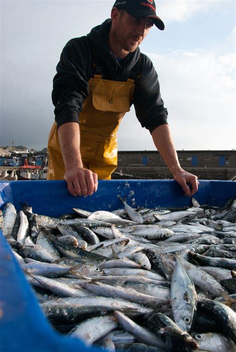 Through The Gaps Newlyn Fishing News Public Comment Draft Report