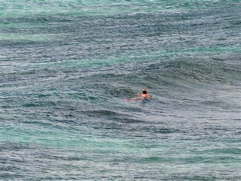 Surfers And Swimmers Share Waves With 5m Man Eater Great White Daily