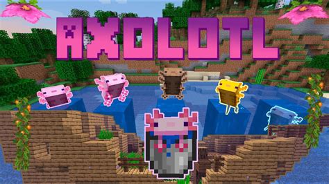Ajolotes En Minecraft 117 😍 Axolotl Snapshot 20w51a Resumen Youtube
