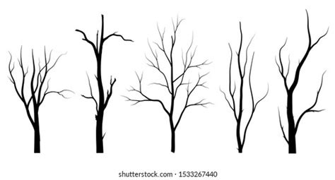 Black Branch Tree Naked Trees Silhouettes Stock Vector Royalty Free Shutterstock