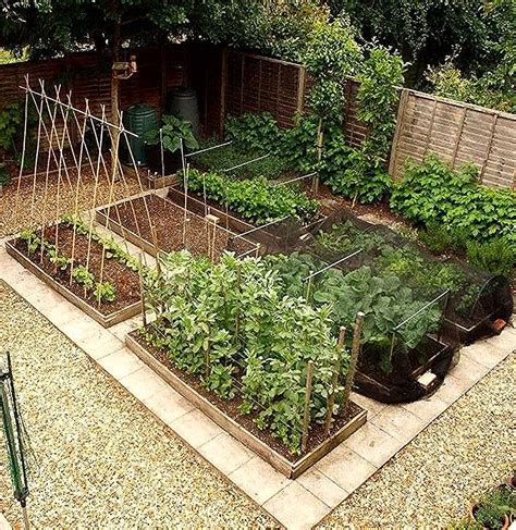 Veg Garden Layout