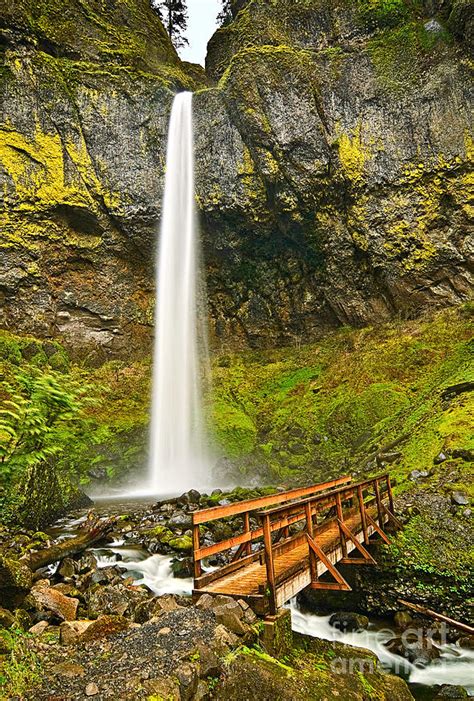 Scenic Elowah Falls In The Columbia River Gorge In Oregon Photograph By