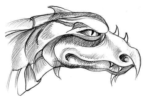 How To Draw A Dragon Head
