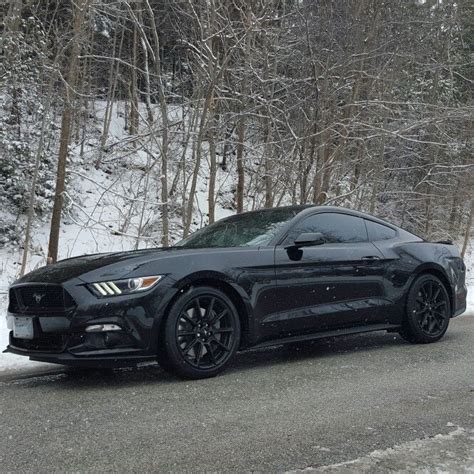 2016 50 Love Mustang Gt Premium Blacked Out Edition Coyote