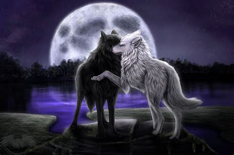 Love Wolves Wallpapers On Wallpaperdog