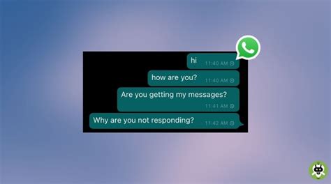Why Whatsapp Message Not Delivered Explained