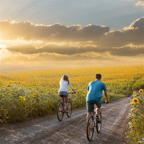 Teen Couple Riding Bike In Sunflower Field Stock Photo Image Of