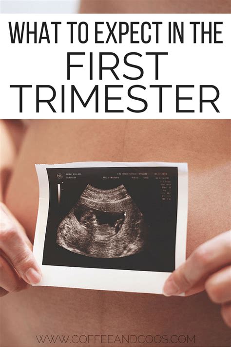 What To Expect In The First Trimester