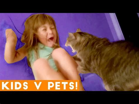 Vicats Very Important Cats Best Videos Of Cats Love Babies