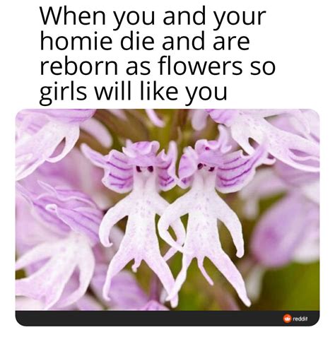 man flowers r memes