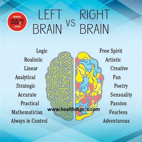 Functions Of Left And Right Brain Right Brain Left Vs Right Brain