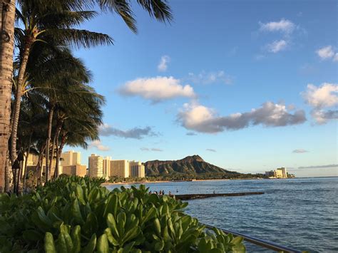 City Of Honolulu In Hawaii Places To Go Honolulu Scenic Views
