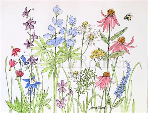 Watercolor Botanical Nature Garden Flowers Wildflowers Etsy