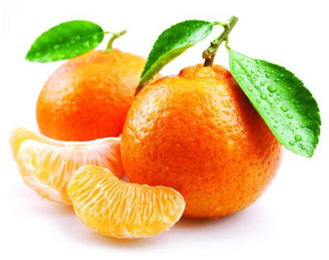 The Meaning And Symbolism Of The Word Tangerine
