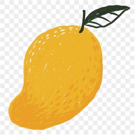 Mango Png Fruit Hand Drawn Premium Png Rawpixel