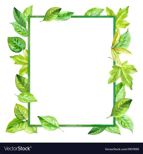 A Square Frame With Green Leaves On White Background