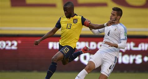 ¿por qué ecuador es favorito sobre perú? Perú vs. Ecuador: los convocados para jugar contra Brasil ...