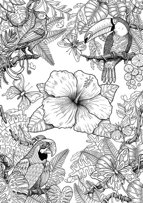 Birds On Behance Bird Coloring Pages Detailed Coloring Pages