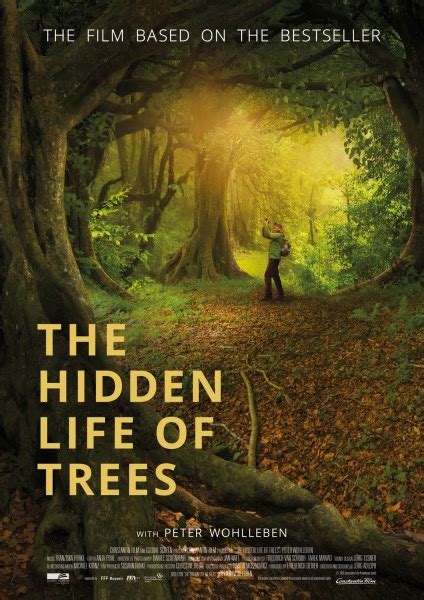The Hidden Life Of Trees 2020