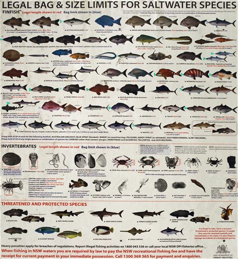 Saltwater Fish Limits Saltwater Fish Bag And Size Limits At Brunswick