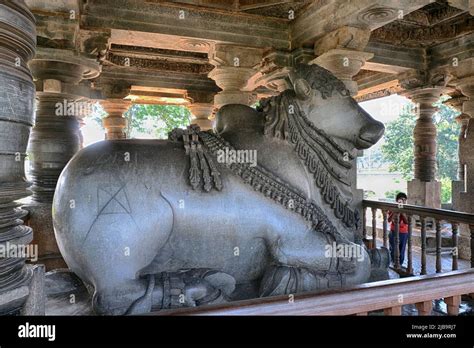 20 December 2021 Largest Monolithic Nandi Statue At Hoysaleswara