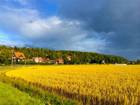 Leksands if and transparent png images free download. Leksand | fromdalarna in 2020 | Country roads, Farmland, Outdoor