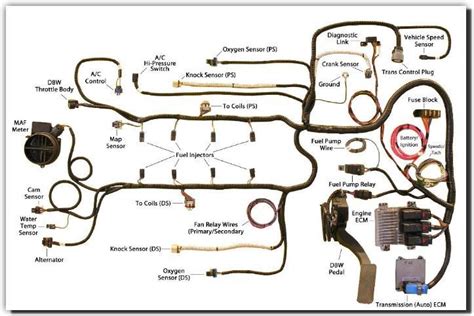 Ls 53 Wiring Harness