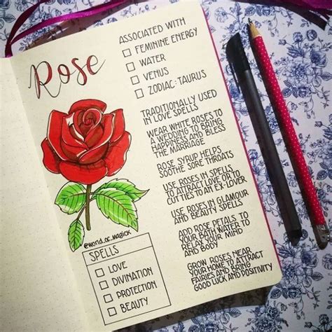 D4rkr0se Reposting Worldofmagick Its Well Known That Roses