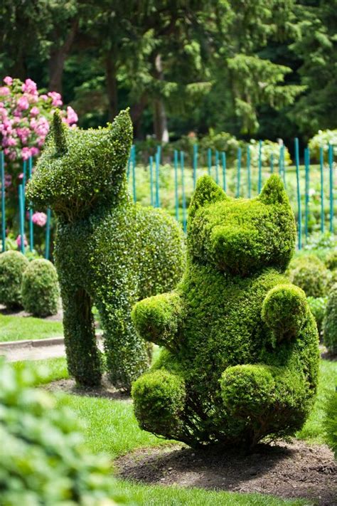 53 Stunning Topiary Trees Gardens Plants And Other Shapes Topiary