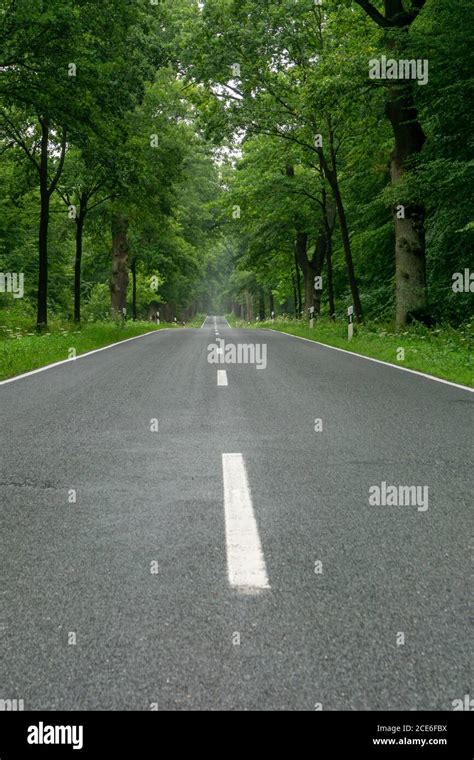 An Empty Blacktop Two Lane Road In Deep Lush Green Forest With Copy