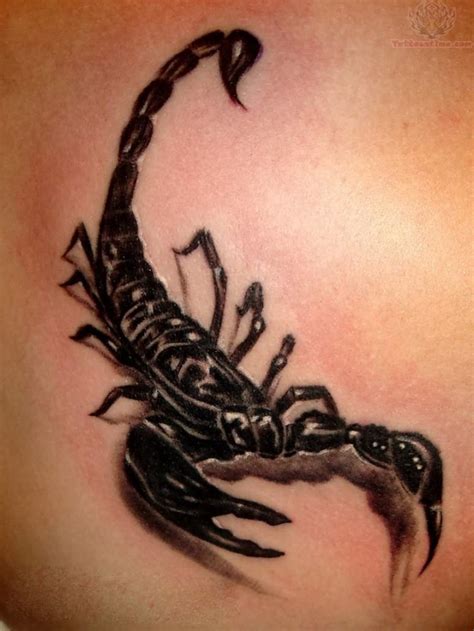 Tattoo Design Scorpion D TATTOO